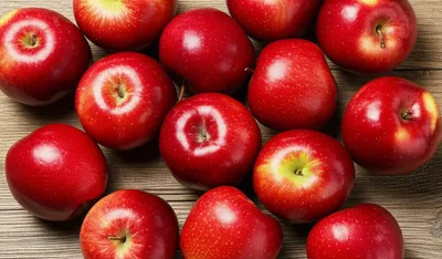 Illustration many - Image 1