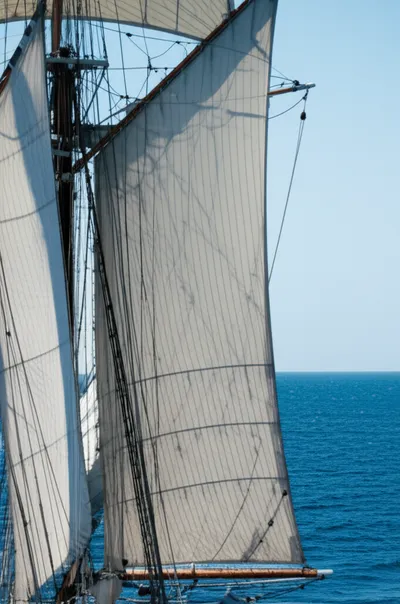 Illustration drops - Image 1