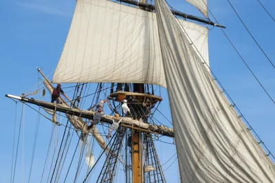 Illustration brailed - Image 1