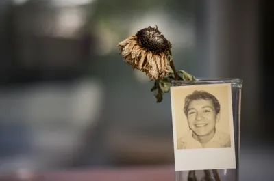 Illustration languished - Image 1