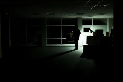 Illustration downsizing - Image 1