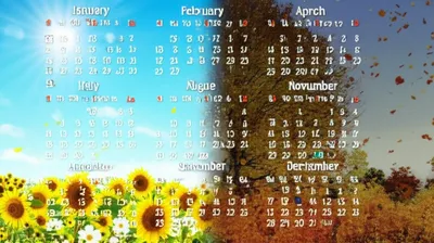 Illustration semesters - Image 1