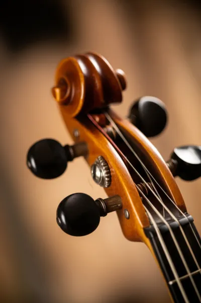 Illustration pins - Image 1