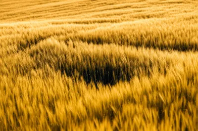 Illustration beaten - Image 1