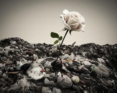 Illustration basest - Image 1