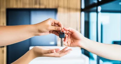 Illustration renting - Image 1