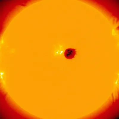 Illustration macula - Image 1