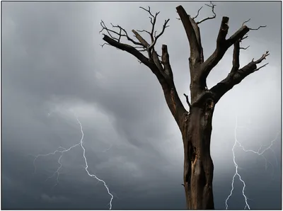 Illustration punished - Image 1