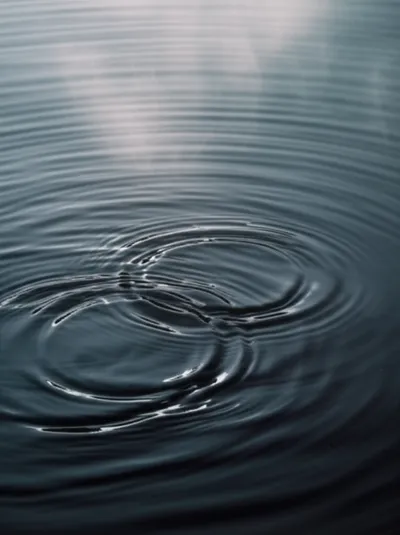 Illustration purl - Image 2