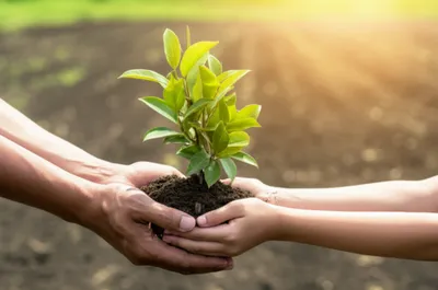 Illustration owns - Image 1