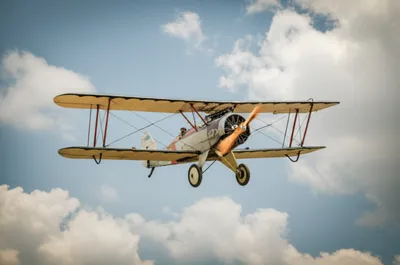 Illustration scout - Image 1