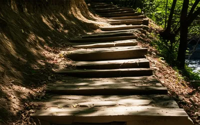 Illustration steps - Image 1