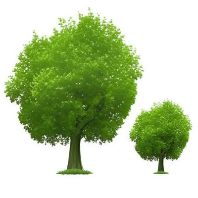 Illustration smaller - Image 1