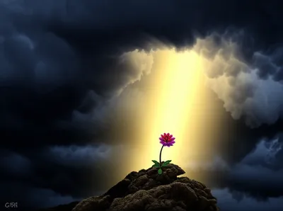 Illustration transcendent - Image 1