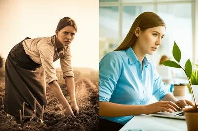 Illustration inherited - Image 1