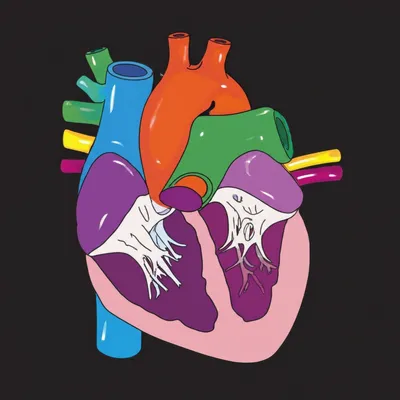 Illustration explicitly