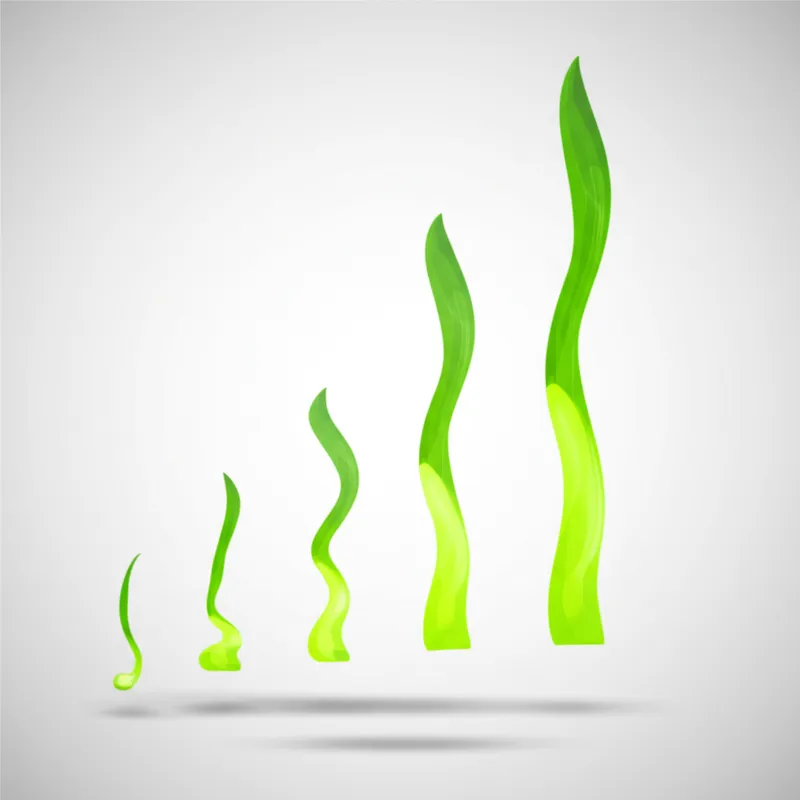 Ilustración visual de la palabra "gradually" - Gradualmente, paulatinamente