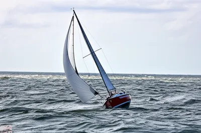 Illustration scandalized - Image 1