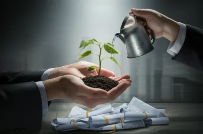 Illustration administration - Image 1