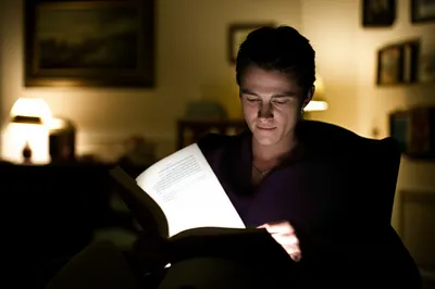 Illustration absorbed - Image 1