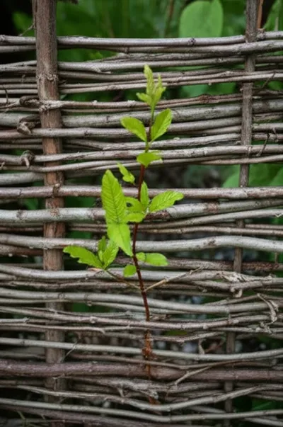 Illustration teenage