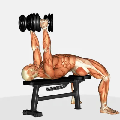 Illustration pullovers - Image 1