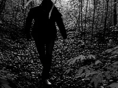 Illustration stalked - Image 1