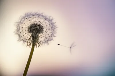 Illustration lighter - Image 1