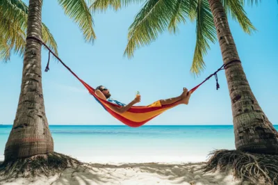 Illustration holiday - Image 1