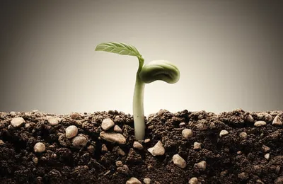 Illustration elbow - Image 1