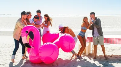 Illustration larks - Image 1