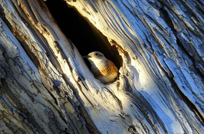 Illustration repose - Image 1