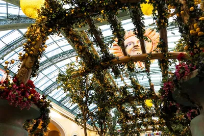 Illustration pergola - Image 2