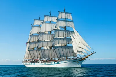 Illustration yards - Image 1