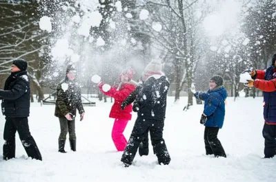 Illustration pelted - Image 1