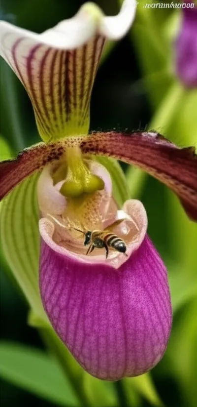 Illustration bucket - Image 1