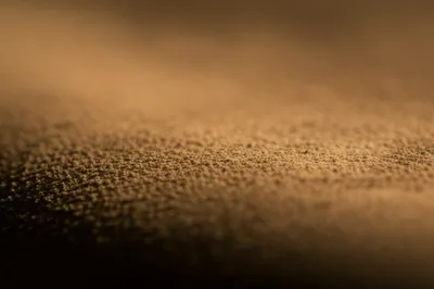 Illustration napoleons - Image 1