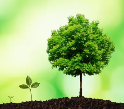 Illustration tenfold - Image 2