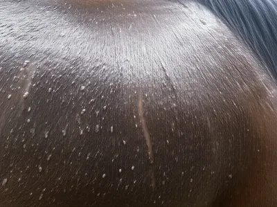 Illustration lathered - Image 1