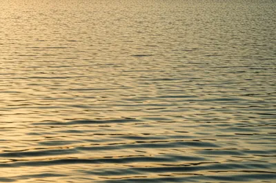 Illustration crisp - Image 1