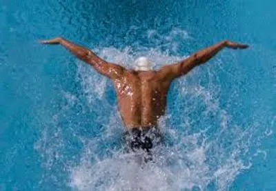 Illustration butterfly - Image 2