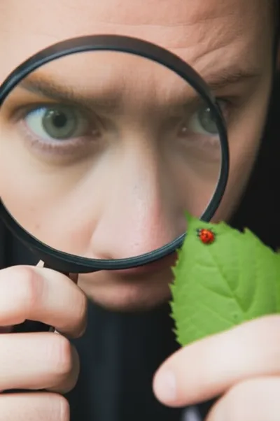 Illustration spied - Image 1