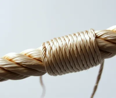 Illustration whipping - Image 1