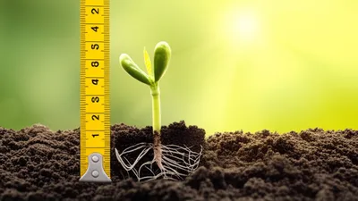 Illustration gaining - Image 1