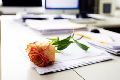 Illustration impertinent - Image 1