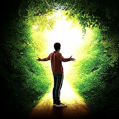 Illustration wavers - Image 1