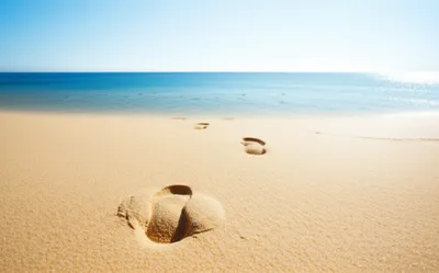 Illustration closer - Image 1