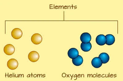 Illustration elementary - Image 2
