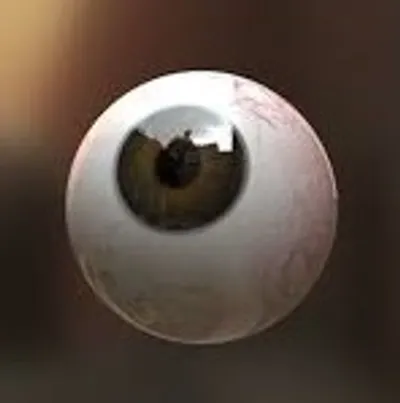 Illustration eyeball - Image 2