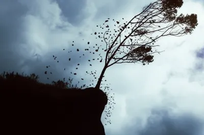 Illustration halts - Image 1